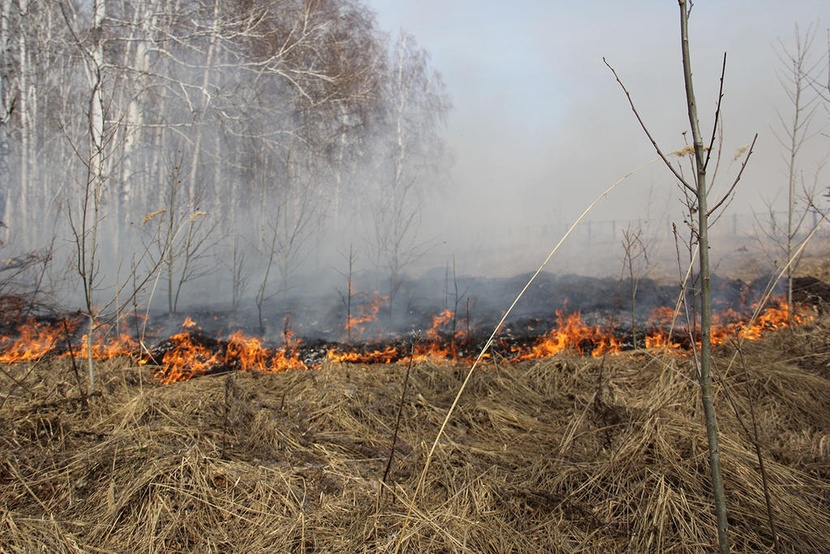 🗣На Дальнем Востоке с начала пожароопасного сезона зарегистрировано  свыше 1,8 тыс. лесных пожаров..